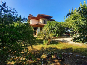 Villa Koza
